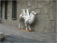 Раскрашенный верблюд (г. Алматы, октябрь 2007 года). Ежегодно в Алмате известные люди раскрашивают фигуры животных и выставляют их на улицы города. После определенного времени фигуры распродаются. Вырученные деньги идут на благотворительность.