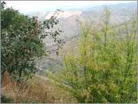 Вид с горы Кок-Тебе (ок. 2500 м над уровнем моря, г. Алматы, октябрь 2007 года)